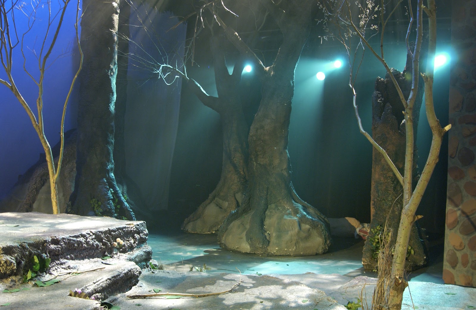 The Theatrical Designs of Gary Benson: Into the Woods--Scene Design