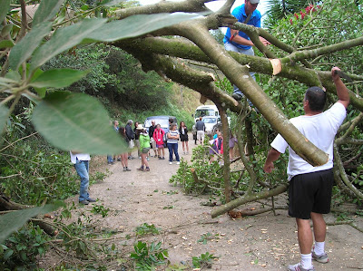 Talando árbol en la carretera, Costa Rica, vuelta al mundo, round the world, La vuelta al mundo de Asun y Ricardo, mundoporlibre.com