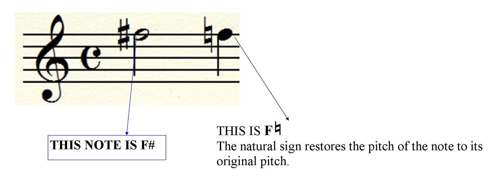 MUSIC LESSONS MUSIC THEORY LESSON WHAT ARE ACCIDENTALS? (SHARP, FLAT AND NATURAL)