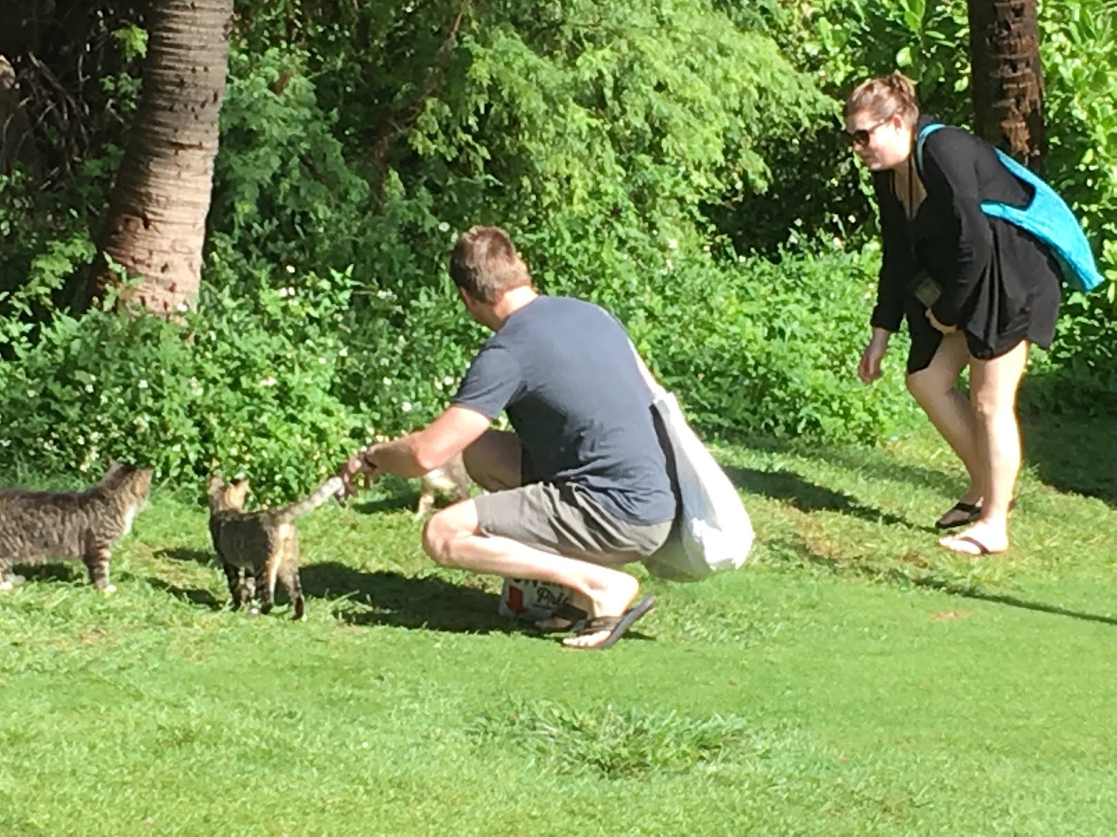 The Hanauma Bay Nature Preserve is no more. to the Hanauma Bay