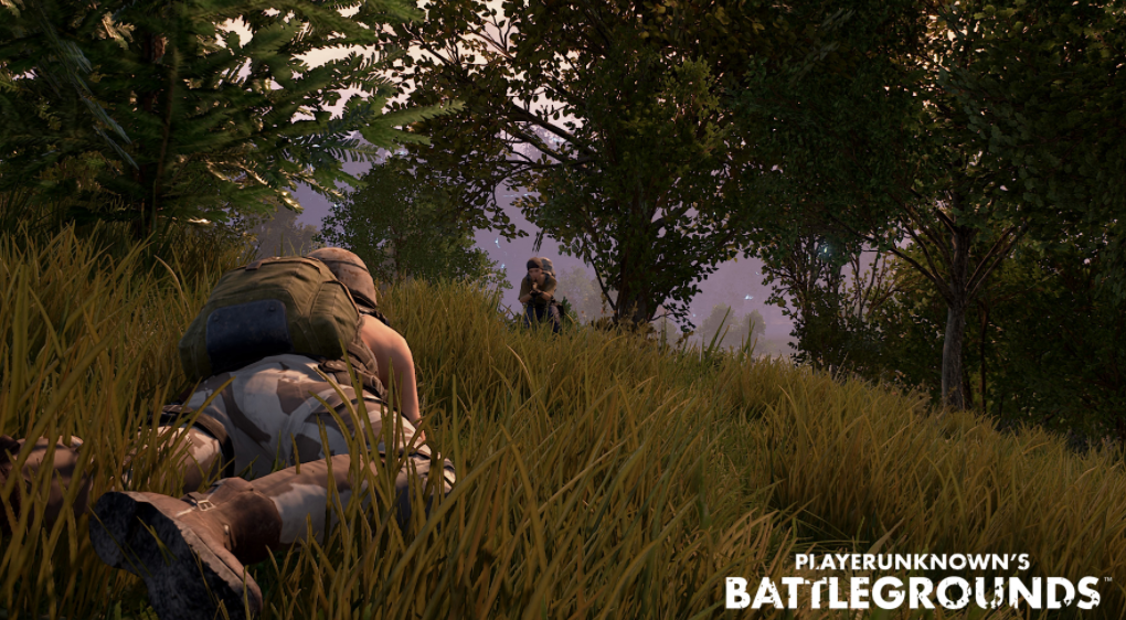 Pubg gambling online game