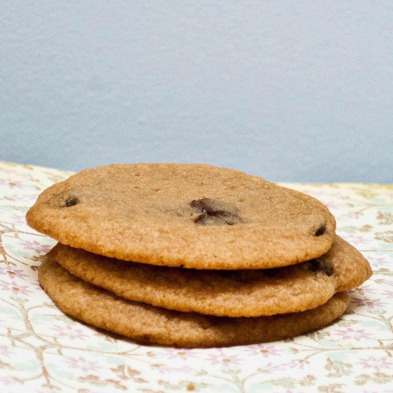 Elise in the Snow and Sun The Chocolate Chip Cookie Experiment (eggless)