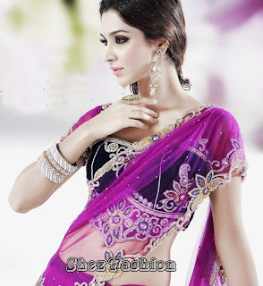 Shez Fashion: Net Embroidered Sarees 2013 | Bridal Wear Sarees | Latest ...