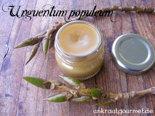 Unkrautgourmet Pflanzen Essen Rezepte Und Mehr Februar 2017