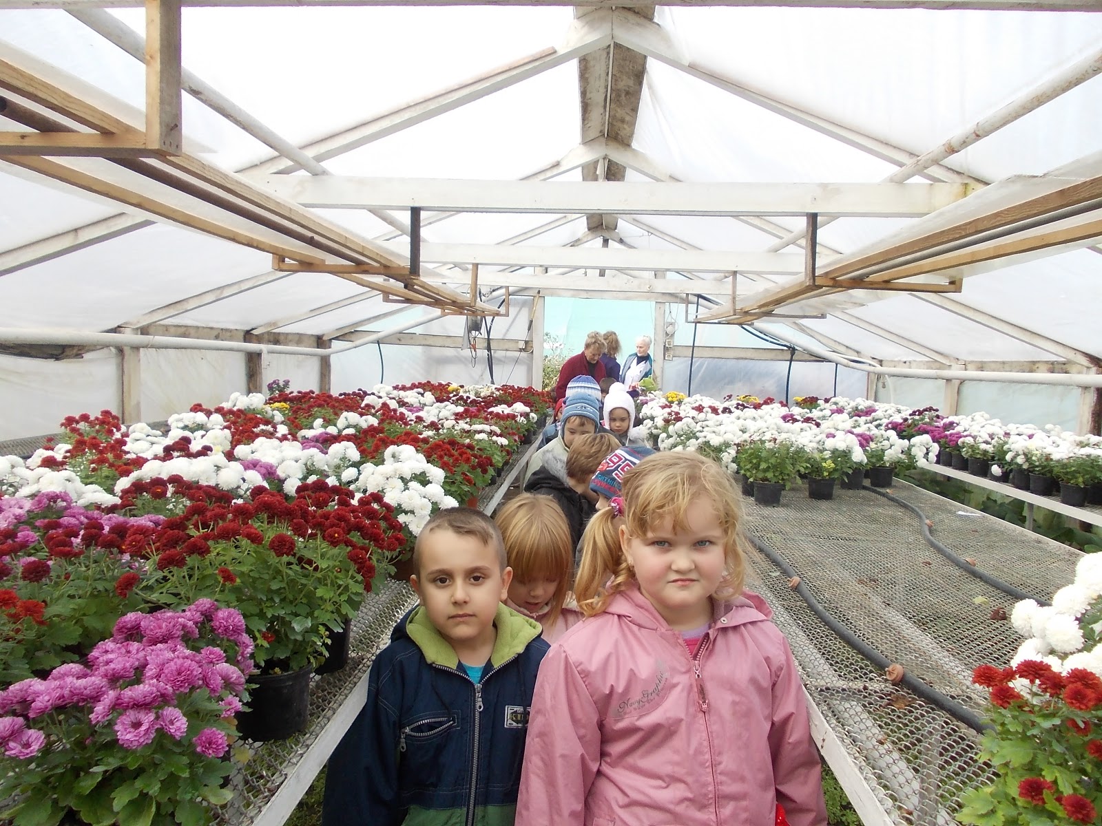 Gradinita P.P " Piticot", Arad VIZITA LA SERA DE FLORI