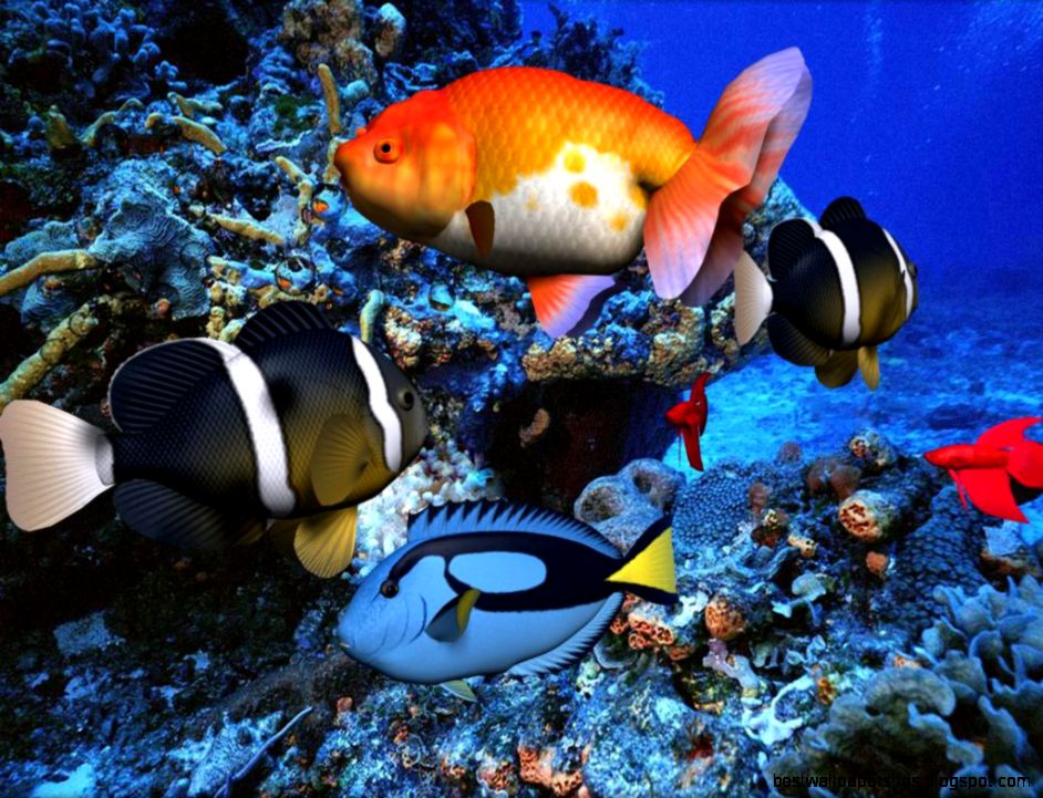 Wallpaper 3D Animated 3D Screensaver Animated