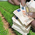 Αυτό μας έλειπε τώρα - Τέλος χρήσης 300 ευρώ ανά τριετία για μία φάρμα!