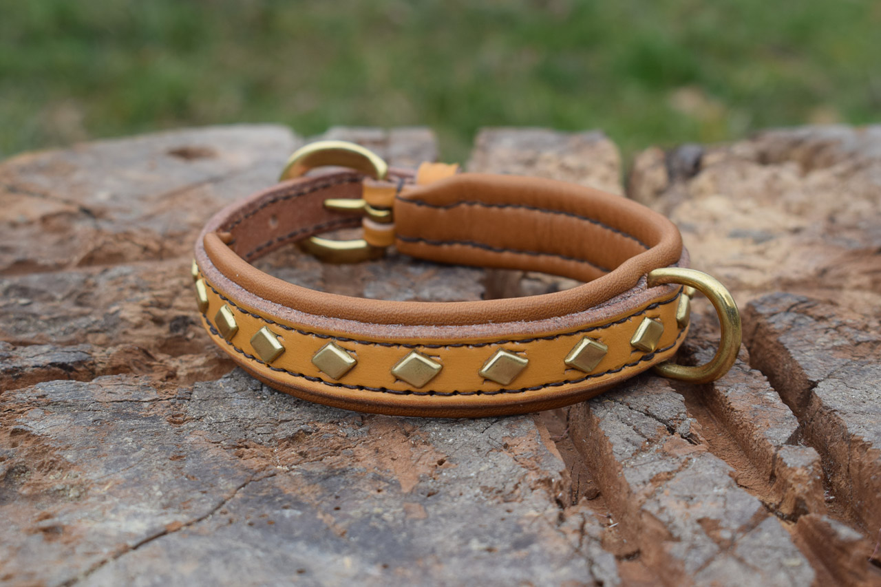 Collare e guinzaglio per Jack Russell