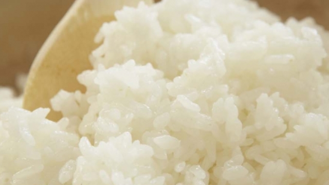 Cara Menjernihkan Minyak Jelantah dengan Nasi