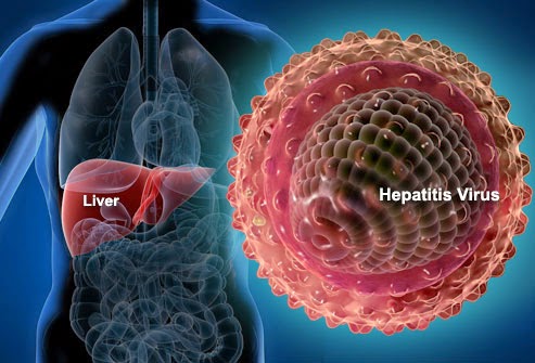 Hepatitis víricas: estas son todas las que se conocen, algunas sin cura ni vacuna