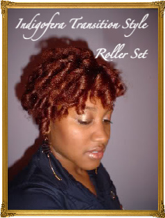 Indigofera Beauty Blog How To Transition To Natural Hair