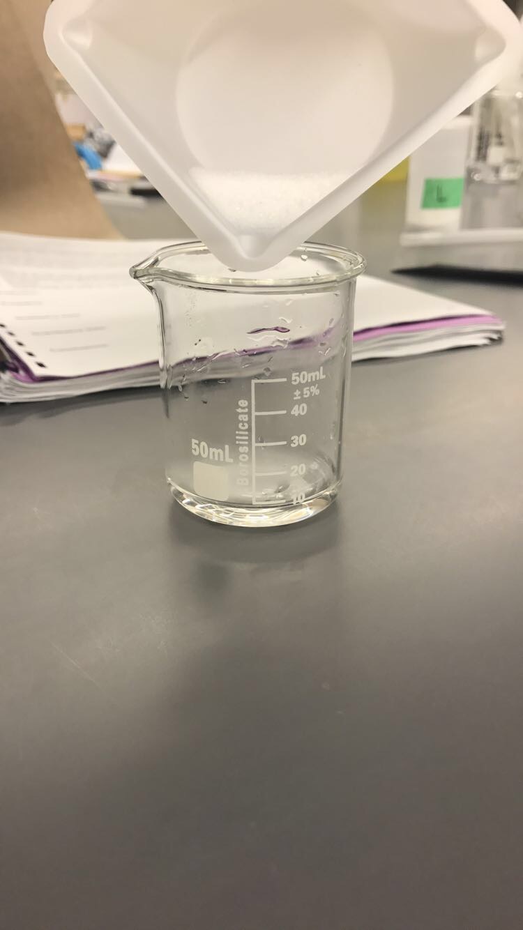 Lab 20 Solubility Inquiry Lab
