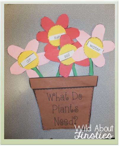 Wild About Firsties!: Plants....and more plants!