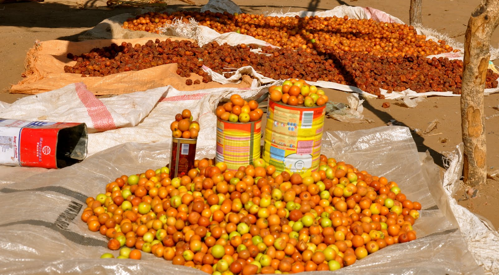Snapping Africa Fruit of the Keiapple tree being sold in different
