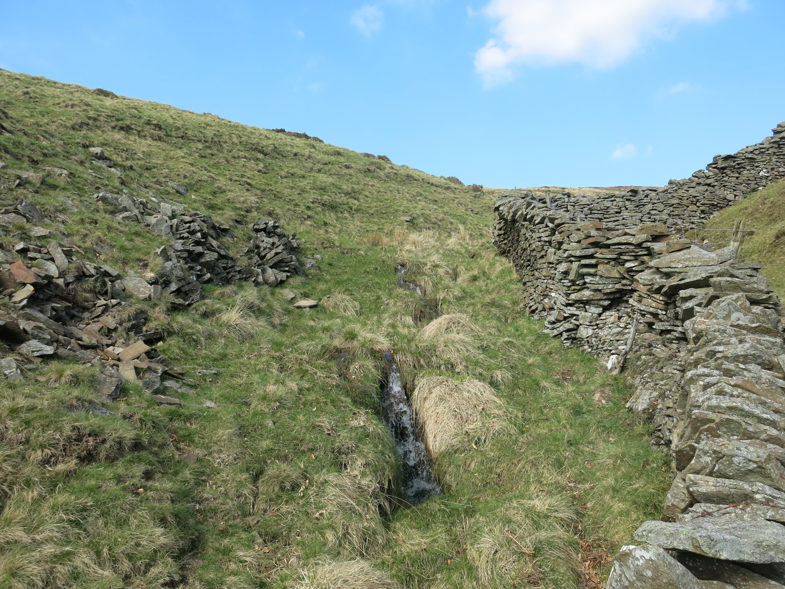South Wales Bryophytes Cwm Celyn revisited 27 years on