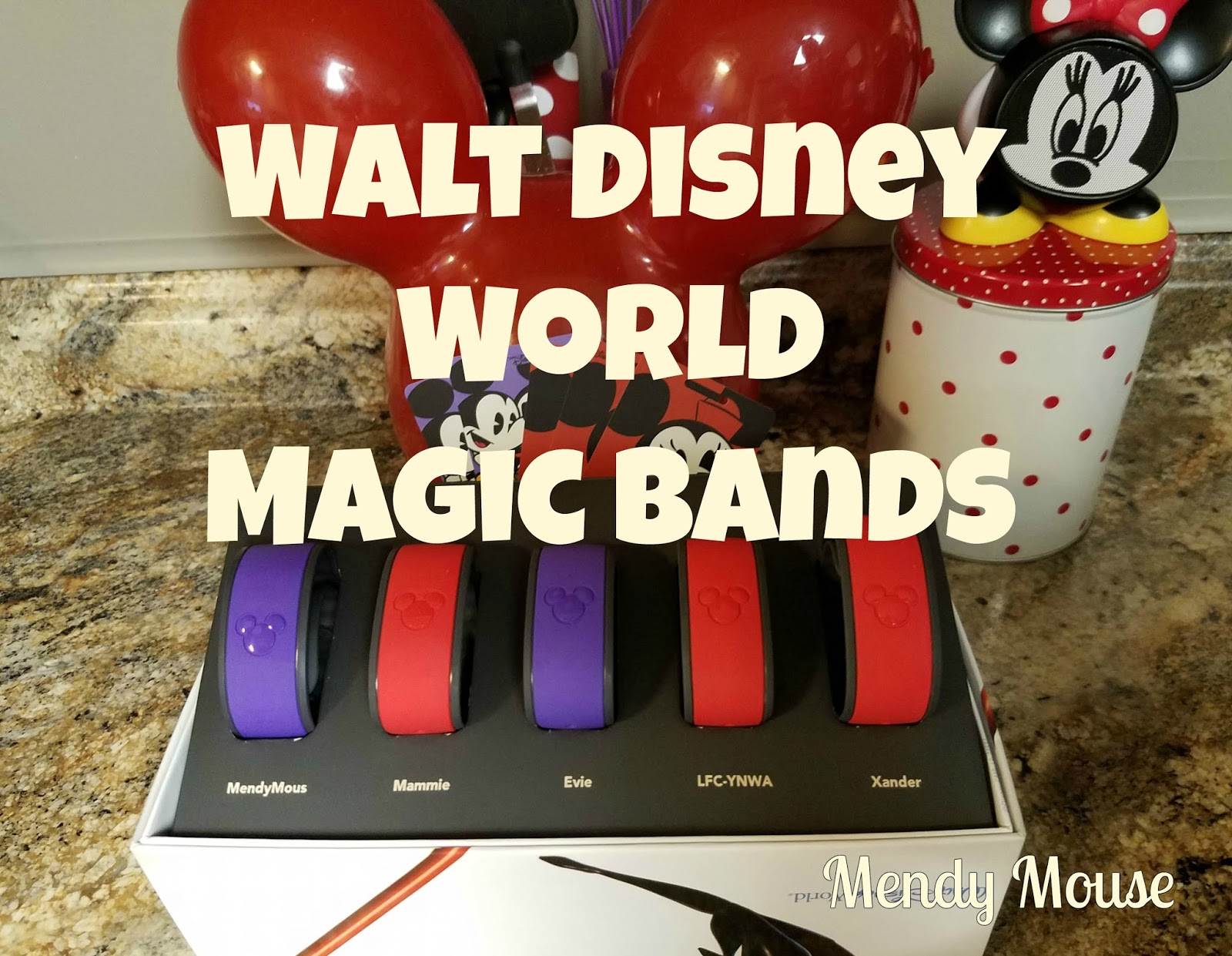 Mendy Mouse Let's Talk Magic Bands