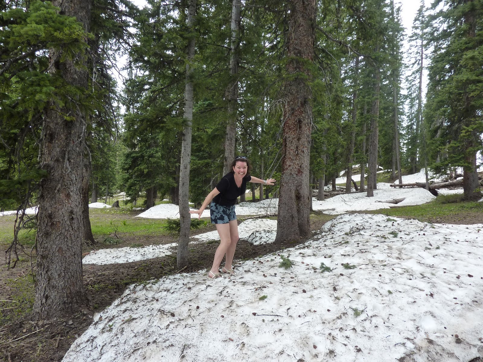 DeLynne Snow in June!