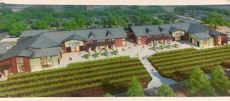 Cycling For Life Hecker Pass Highway Ag Tourism Gilroy