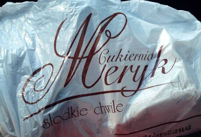 świder, świdermajer, pies w podróży, meryk, welsh corgi cardigan, corgi, cardigan, otwock