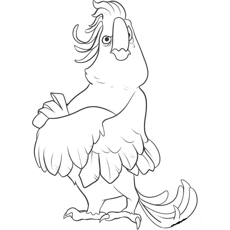 Macaw Rio bad guy coloring ~ Child Coloring