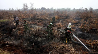 entara Tewas Saat Padamkan Kebakaran Lahan di Riau
