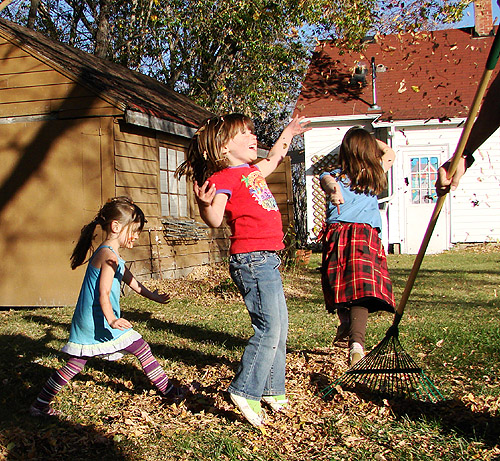 Eco-Friendly Mulching Options for Canadian Gardeners - Featured Image