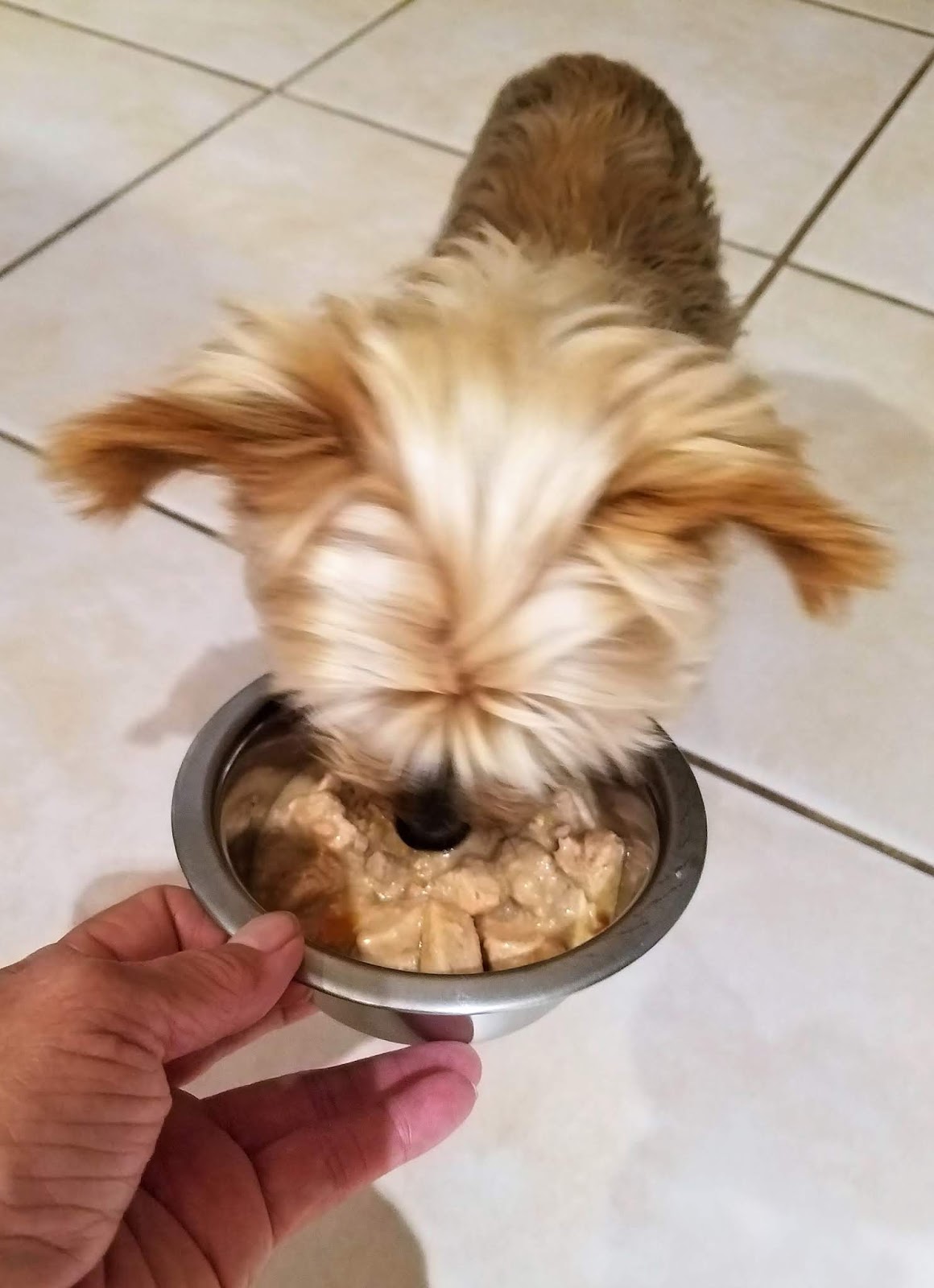 Frugal Shopping and More Merrick GrainFree Thanksgiving Day Dinner