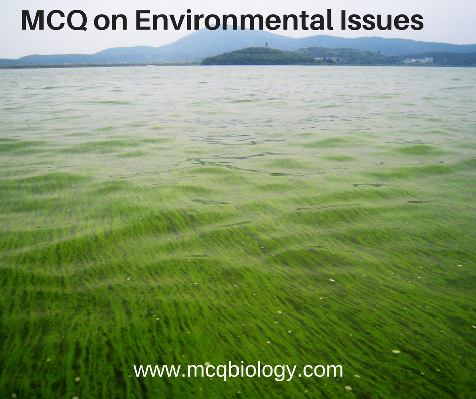 Multiple choice questions on environmental issues pollution global 