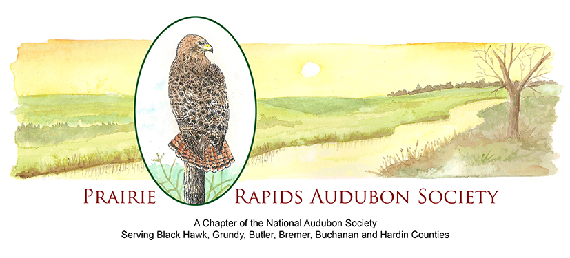 Prairie Rapids Audubon