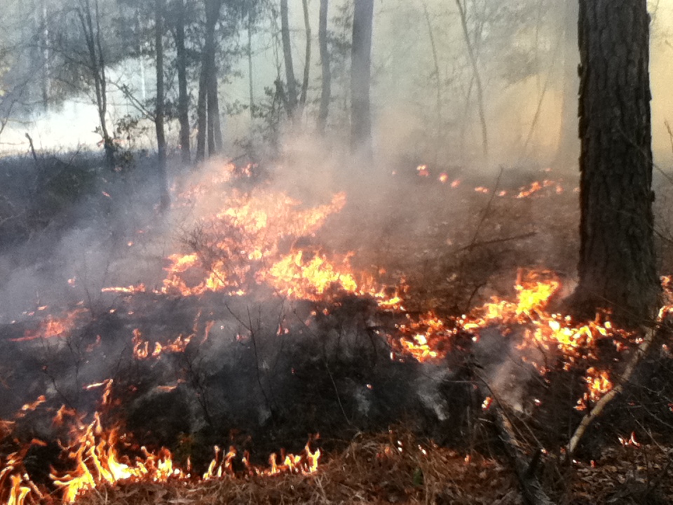 Virginia Wildfire Information and Prevention Wildfires continue