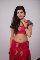 neelam-upadhyay-new-hot-pics-tollyscreen