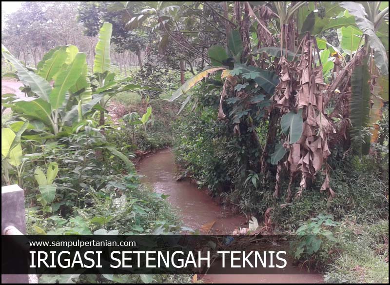 PENGERTIAN SAWAH IRIGASI SETENGAH TEKNIS - Sampul Pertanian