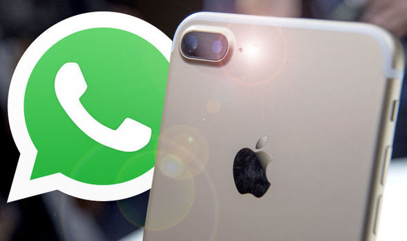 WhatsApp Akhirnya Resmikan Fitur Kirim Gambar GIF Untuk iOS WhatsApp Akhirnya Resmikan Fitur Kirim Gambar GIF Untuk iOS