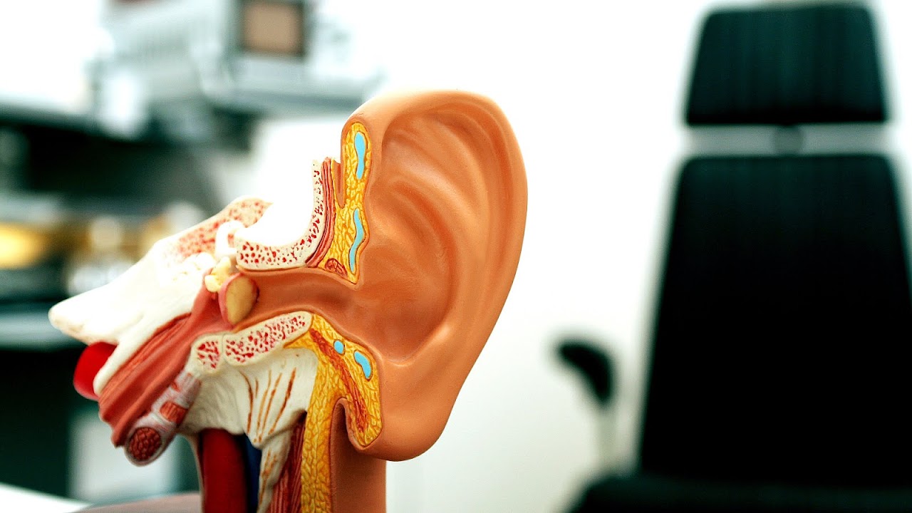 heartbeat in ear spiritual meaning heartbeat in ear spiritual meaning