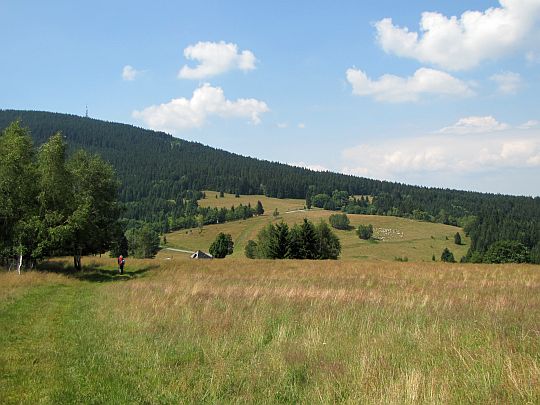 Zejście z Pasiecznika na Przełęcz Puchaczówka.