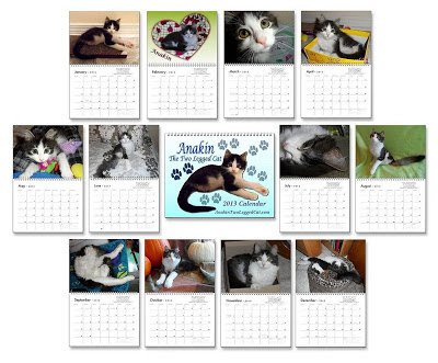 2013 Calendar Anakin The Two legged Cat Calendar