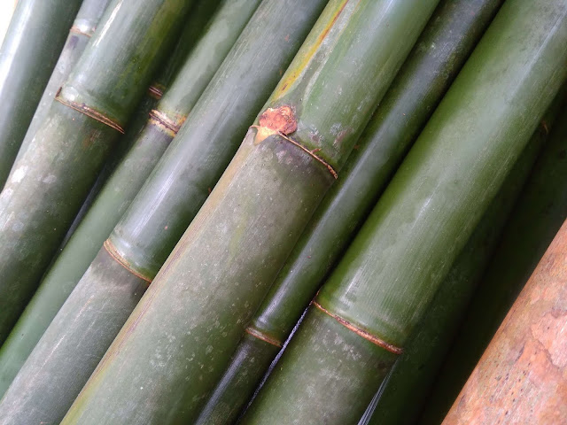  maka waktu libur saya habiskan dengan membantu pekerjaan ayah di kampung √ Cara Membuat Tirai Bambu
