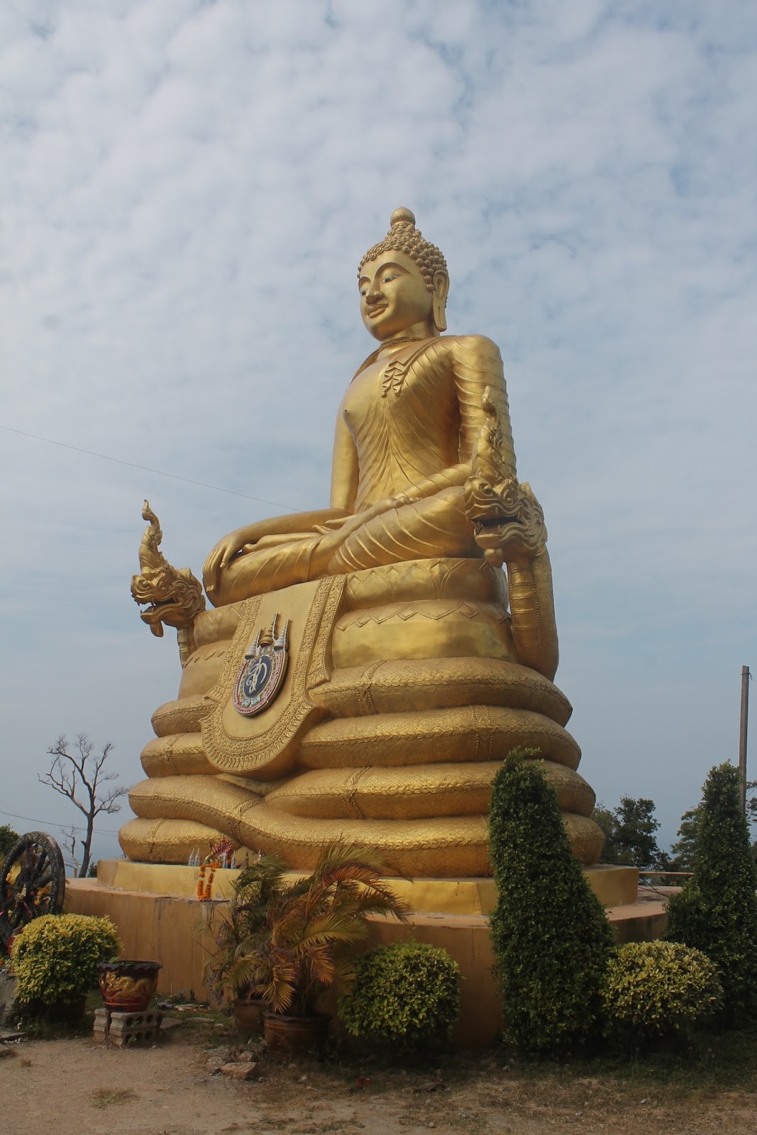 Things to do (closed) Big Buddha