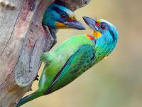 تجربة الجنس الأولى: خرافات لا بد أن تعرفها! 