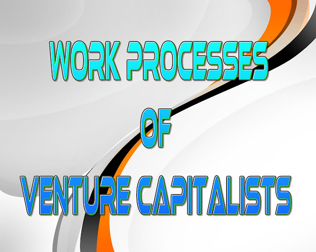 Work processes of Venture Capitalists