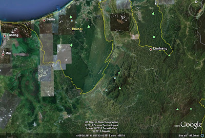 hutansarawak3.jpg