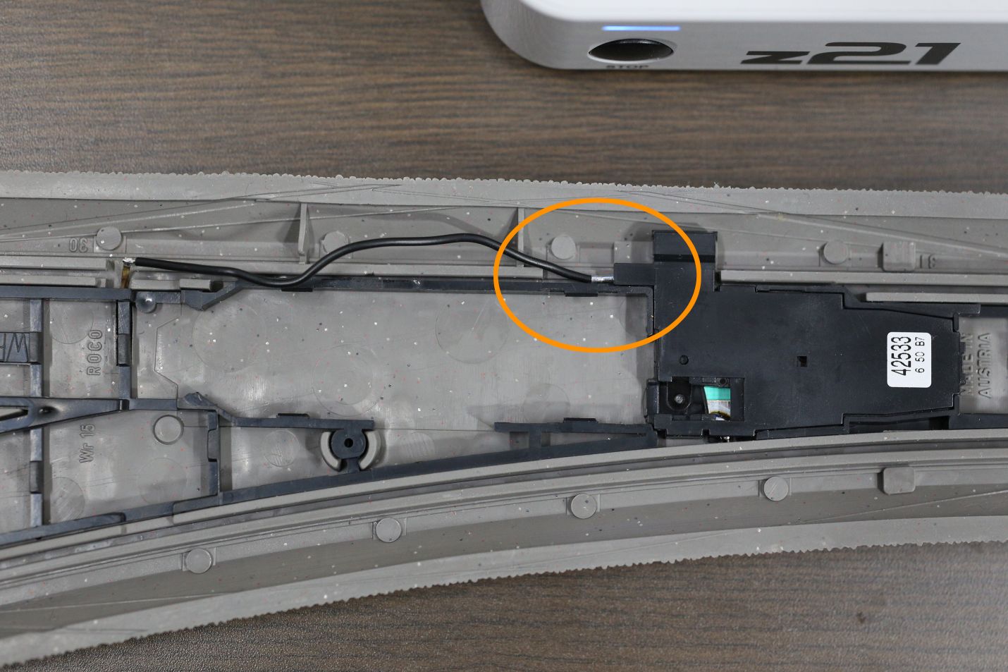 手入れが簡単な屋外植物