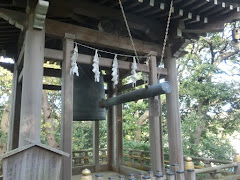 �����_�����O