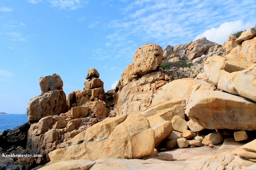 Kinh nghiệm du lịch vịnh Vĩnh Hy Ninh Thuận tự túc chi tiết A-Z