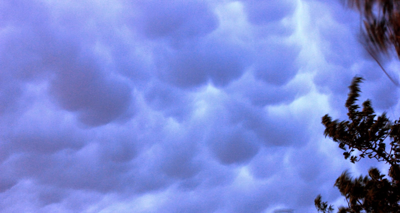 Mon coeur au Sud: Le ciel est, par-dessus le toit....