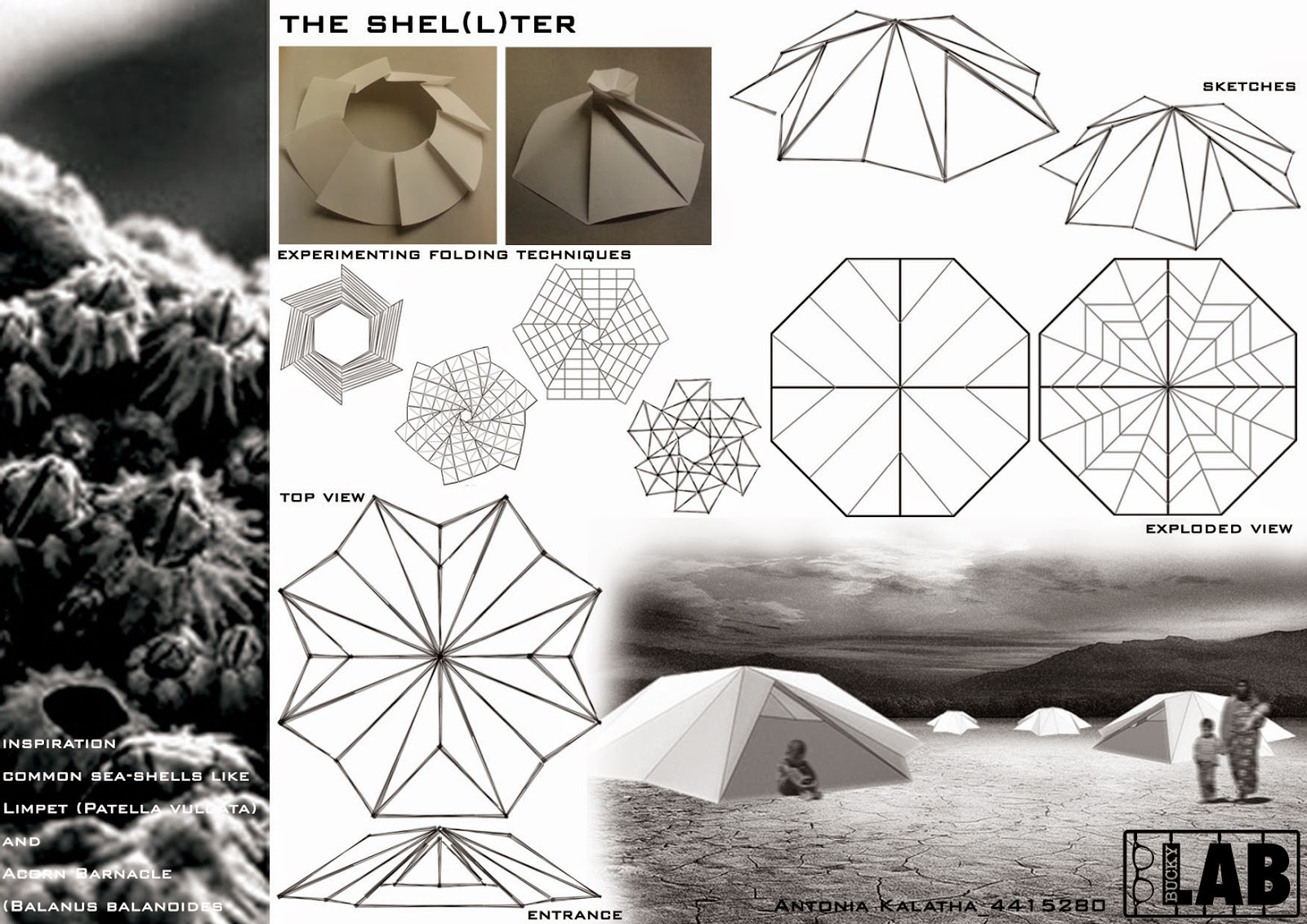 buckylab Cardboard Shelters