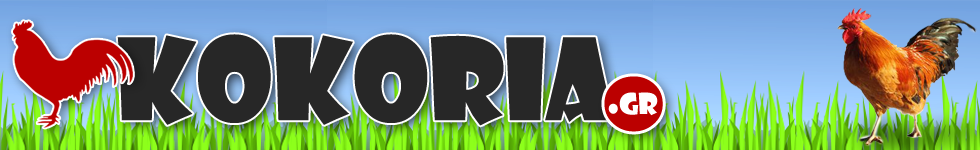 Kokoria.gr