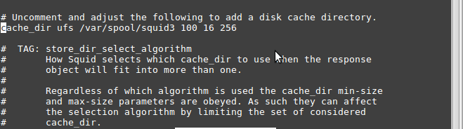Сканер уязвимостей веб приложений. Авторедирект что это. Ubuntu шрифт. Netcrunch интерфейс. Cache directory.