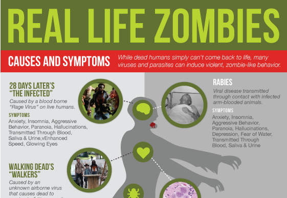 Image: Real Life Zombies