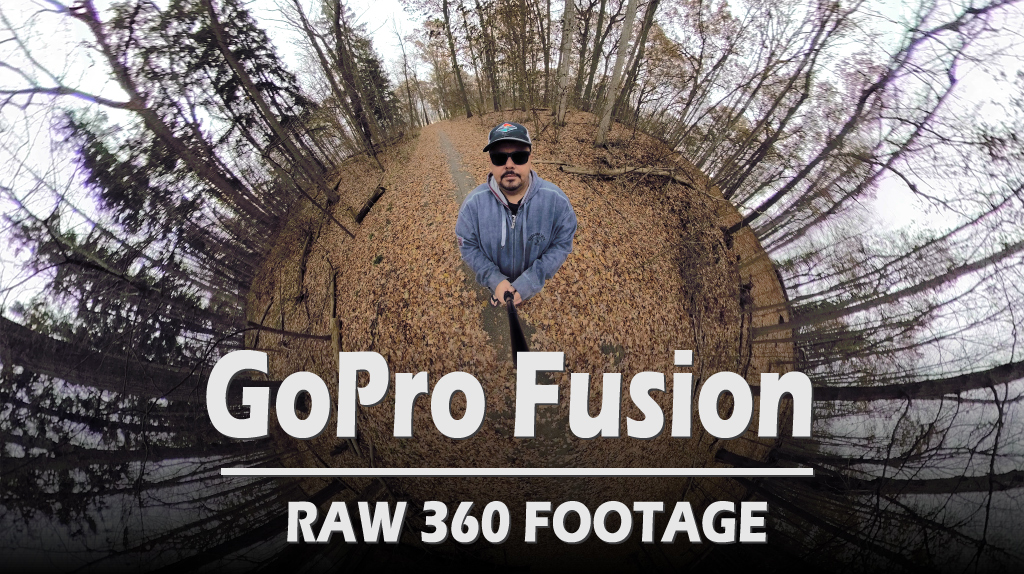 GoPro Fusion footage